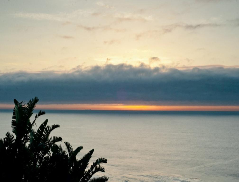 The Tides Inn Bed And Breakfast Durban Extérieur photo